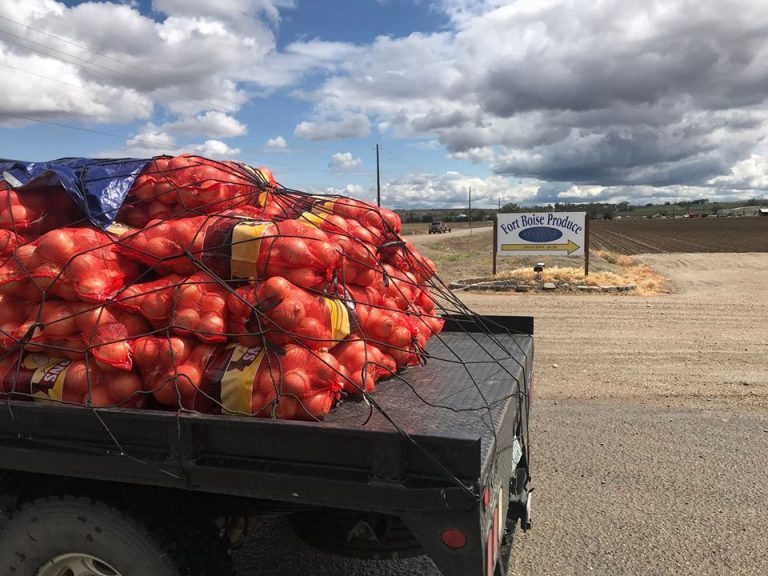 Photo of bags of of onions on a flatbed truck near Fort Boise Produce